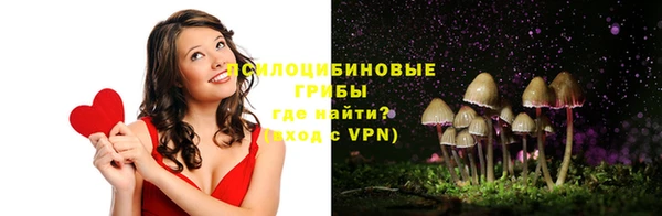 PSILOCYBIN Алзамай