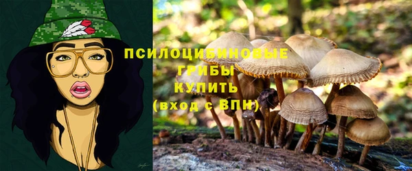 PSILOCYBIN Алзамай