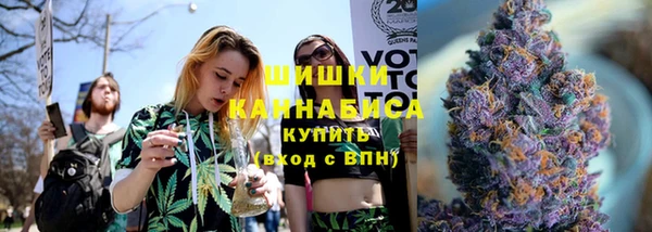 PSILOCYBIN Алзамай