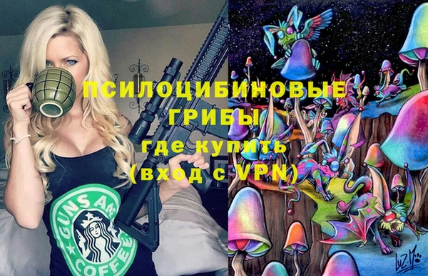 PSILOCYBIN Алзамай
